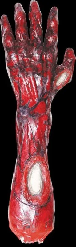 Morris "Peeled Flesh - Left Arm" Human Body Part Halloween Prop