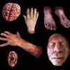 SpellBound FX And Art "Silicone Body Parts" Gory Halloween Props- Package Deal -TheHorrorDome Elegant Shop silicone body parts gory halloween props package deal 28745784852528